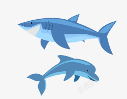 海洋蓝色鲨鱼海豚矢量图素材