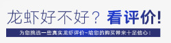 龙虾好不好看评价素材