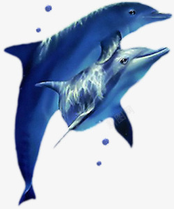 蓝色卡通造型海豚效果素材