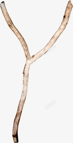Y型弓弩树枝素材