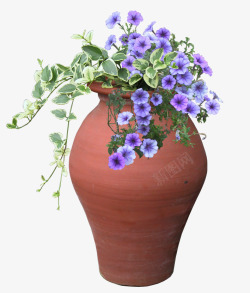 园艺造型紫色花朵高清图片