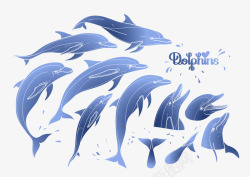 蓝色手绘海豚素材