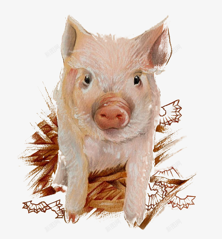 彩绘猪图案png免抠素材_88icon https://88icon.com 小猪图案 彩绘猪 白猪