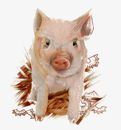 彩绘猪图案素材