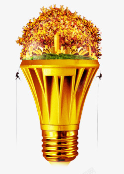 金色灯泡树悉尼歌剧院城市攀爬的素材
