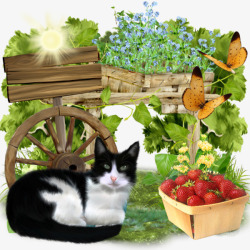 花圃前的猫咪和水果素材