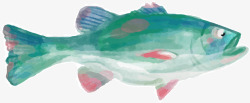 绿色水彩大海海鱼素材