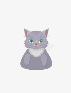 灰色猫咪素材