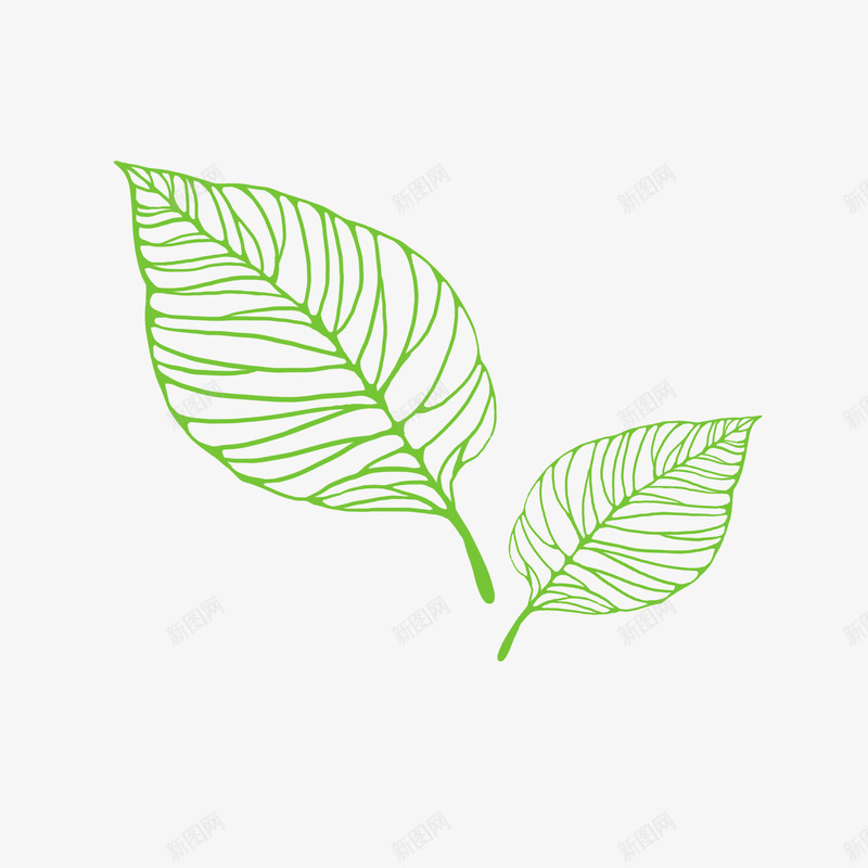 一片手绘的叶子png免抠素材_88icon https://88icon.com 叶子 叶子纹样 手绘 手绘叶子 植物 纹样 绿色