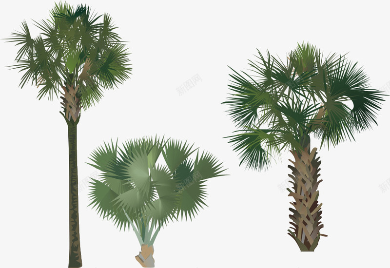 绿色的热带植物png免抠素材_88icon https://88icon.com 卡通树 热带 热带植物 矢量树 绿色植物