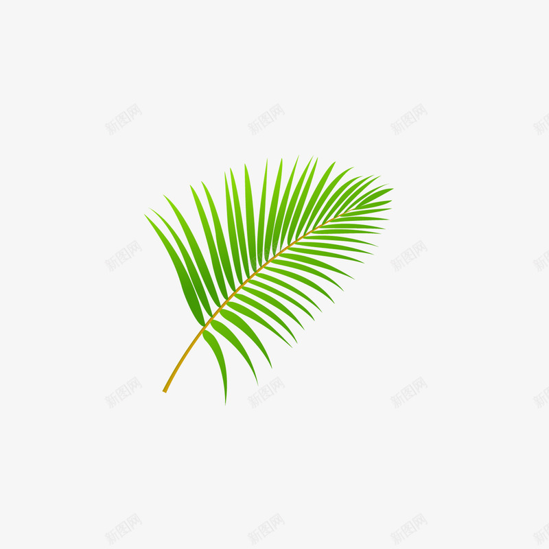 绿色植物png免抠素材_88icon https://88icon.com 松叶 植物 绿色 针叶