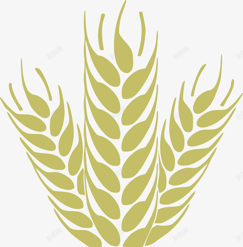 黄色的小麦png免抠素材_88icon https://88icon.com 小麦 食物 黄色