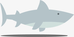 卡通鲨鱼热带动物图形素材