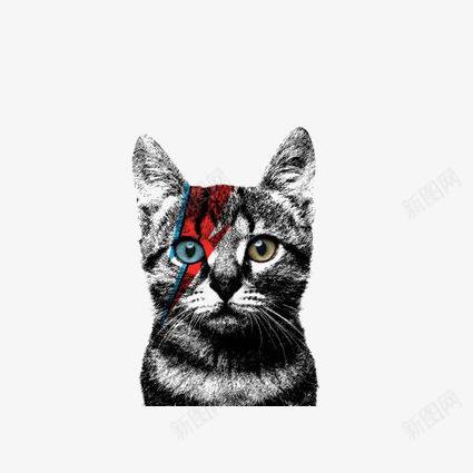 黑色猫咪png免抠素材_88icon https://88icon.com 喵星人 宠物猫 手绘猫咪 猫免扣元素 猫咪插画