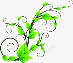 手绘水彩绿色的植物造型合成素材