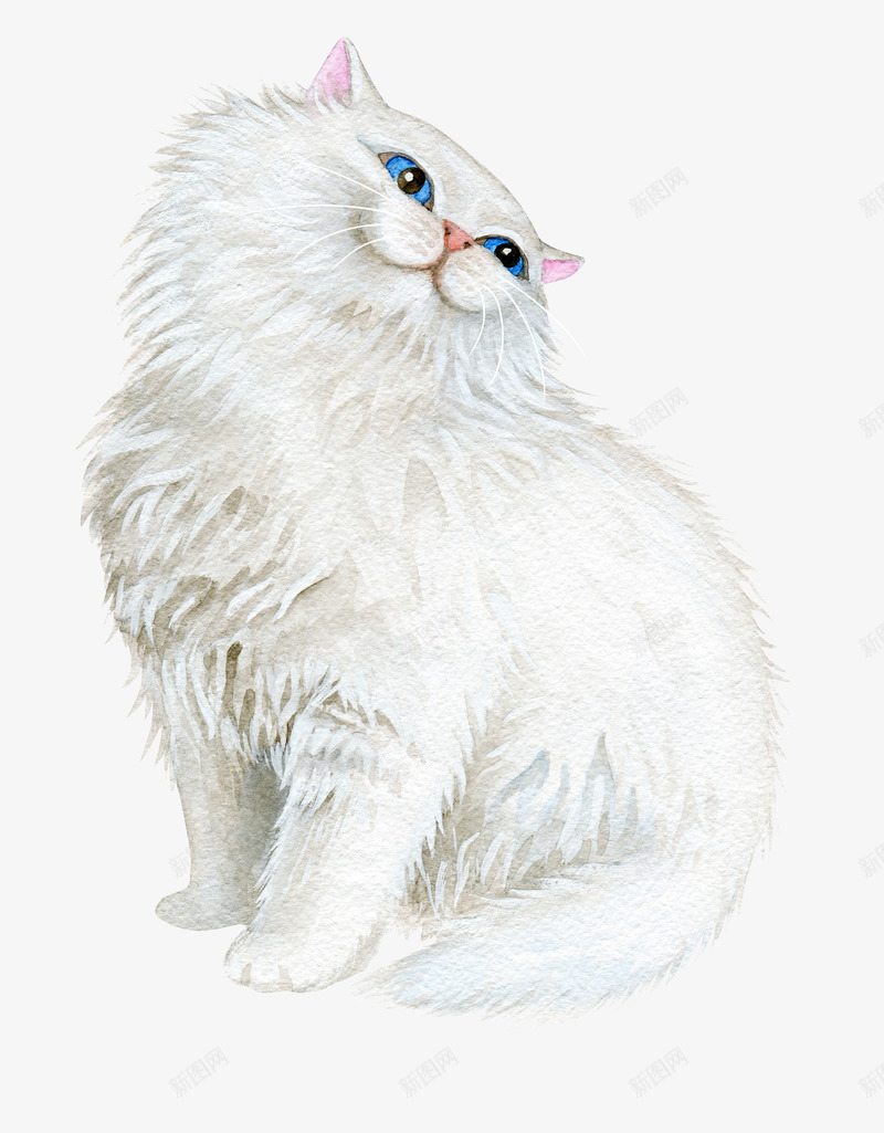 卡通猫咪png免抠素材_88icon https://88icon.com 一只 动物 卡通 手绘 猫咪 白色的 简图 胡子 长毛