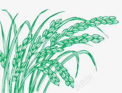 手绘创意合成绿色的小麦素材