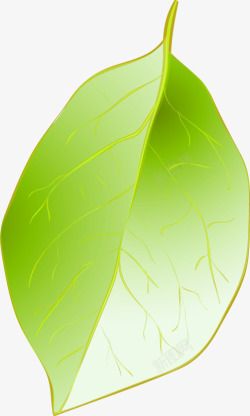 绿色手绘清新树叶装饰清爽素材
