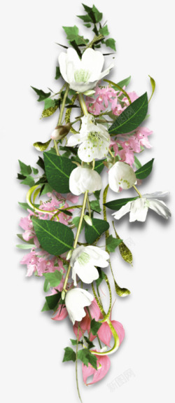 绿色植物白色花朵装饰素材