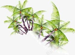 热带风情椰树树木绿树素材