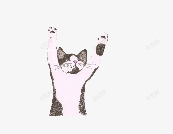 可爱猫咪玩耍png免抠素材_88icon https://88icon.com 卡通手绘 猫咪 猫咪手绘 玩耍