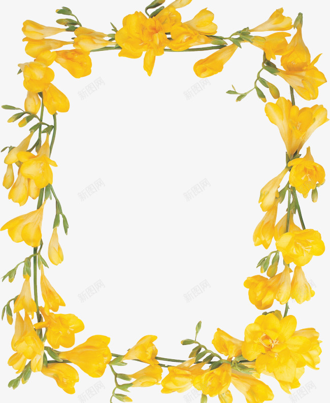 黄色花朵长方形边框png免抠素材_88icon https://88icon.com 喇叭花 边框 长方形 鲜花