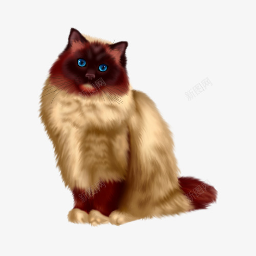 卡通猫咪png免抠素材_88icon https://88icon.com 动物 可爱 手绘 猫咪 蓝眼睛