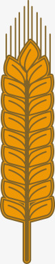 金色青稞植物图标图标