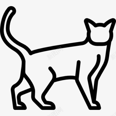 猫壁纸雪鞋猫图标图标