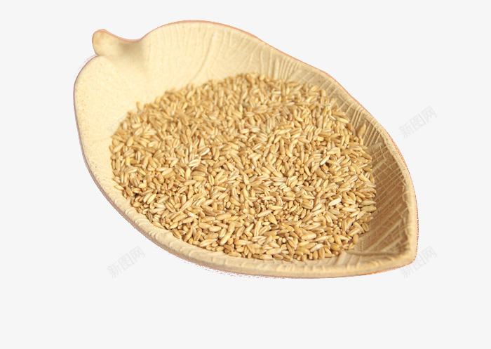 一叶小麦png免抠素材_88icon https://88icon.com 小麦 粮食 美食 麦子