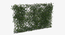 满墙绿色垂吊植物素材