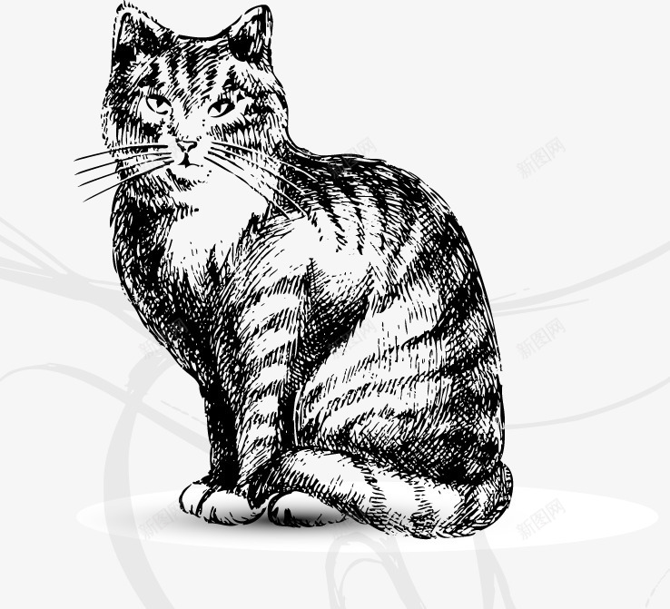 手绘猫png免抠素材_88icon https://88icon.com 动物 宠物 手绘 手绘猫狗 猫咪 猫猫 钢笔画 铅笔画