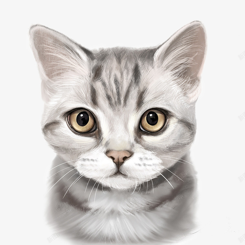 卡通可爱猫咪png免抠素材_88icon https://88icon.com 动物 卡通 可爱 猫咪