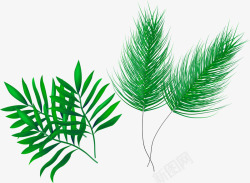 手绘热带植物树叶素材