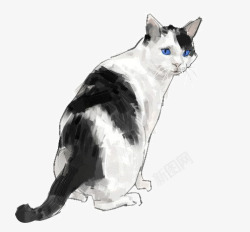 蓝眼睛猫咪手绘黑白猫咪高清图片