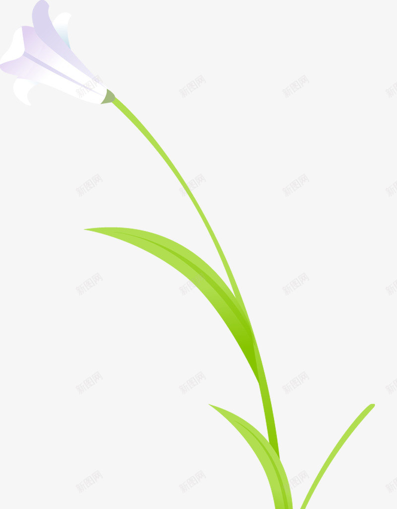 植物百合花白色效果手绘png免抠素材_88icon https://88icon.com 效果 植物 白色 百合花