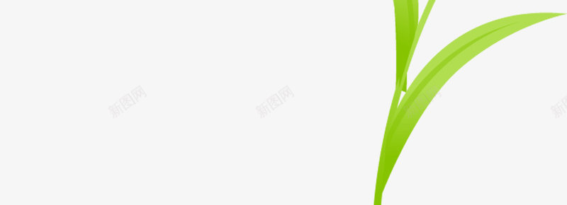 植物百合花白色效果手绘png免抠素材_88icon https://88icon.com 效果 植物 白色 百合花