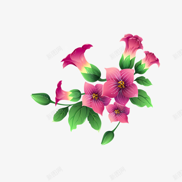 牵牛花喇叭花png免抠素材_88icon https://88icon.com 喇叭花 手绘花儿 花儿 花卉