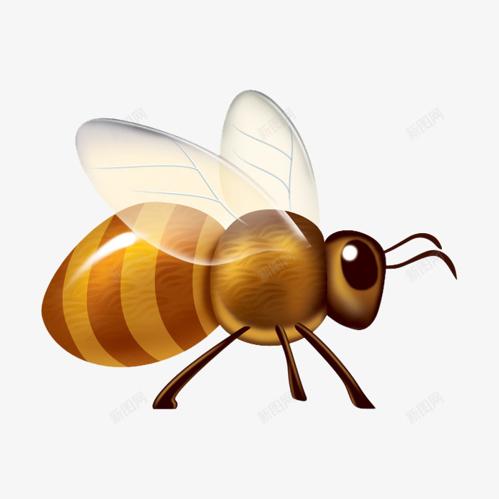 卡通可爱蜜蜂png免抠素材_88icon https://88icon.com 卡通 可爱 昆虫 蜜蜂