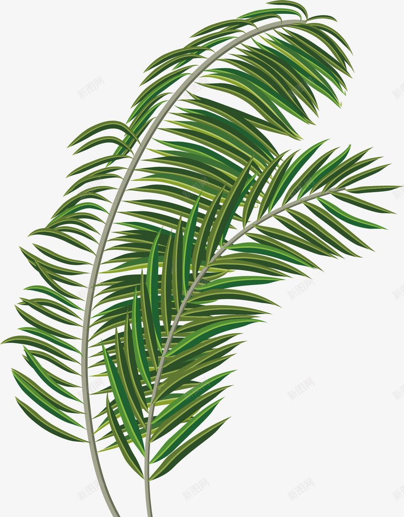 绿色植物png免抠素材_88icon https://88icon.com 对称 尖尖 手绘 根茎 植物 绿叶 绿色 长枝叶