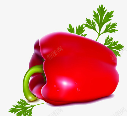 水果蔬菜手绘西红柿图标图标