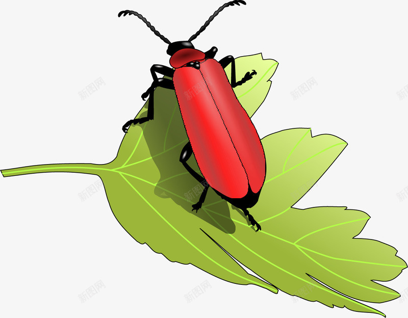 绿叶上的红色甲虫矢量图ai免抠素材_88icon https://88icon.com 动物 昆虫 树叶 植物 甲虫 红色 绿叶 矢量图