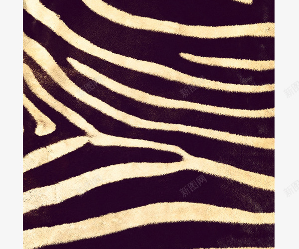 皮质纹理png免抠素材_88icon https://88icon.com 动物 皮 皮质纹理 纹理 贴图