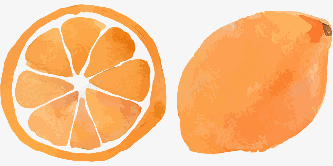 橘色橙子png免抠素材_88icon https://88icon.com 卡通 彩色 手绘 橘子 橙子 水彩 紫色