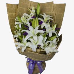 白色百合花素材