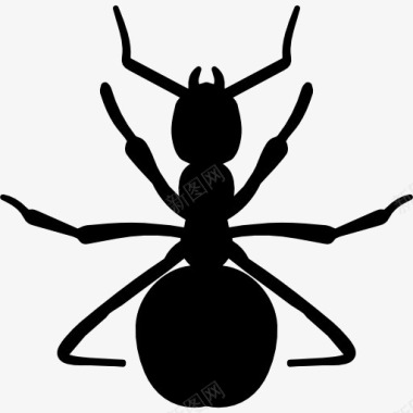 红蚂蚁的形状图标图标