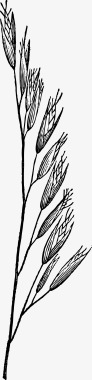 麦穗黑色麦穗谷物图标图标