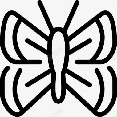 昆虫设计灰蝶图标图标