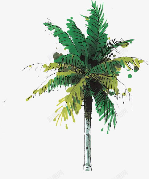 绿色热带景观椰树造型png免抠素材_88icon https://88icon.com 景观 椰树 热带 绿色 造型