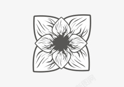 花型图案美感素材